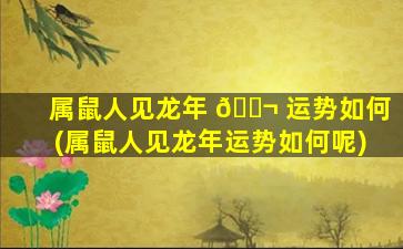 属鼠人见龙年 🐬 运势如何(属鼠人见龙年运势如何呢)